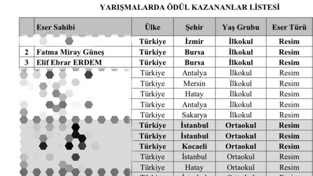 ULUSLARARASI ÇAPTA RESİM YARIŞMASI DERECELERİ MUSTAFAKEMALPAŞA'DAN!